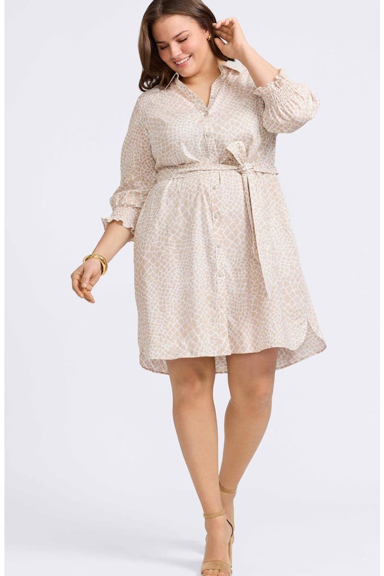 Abby Belted Linen Blend Shirtdress