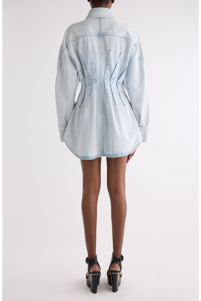 Long Sleeve Shaped Denim Minidress