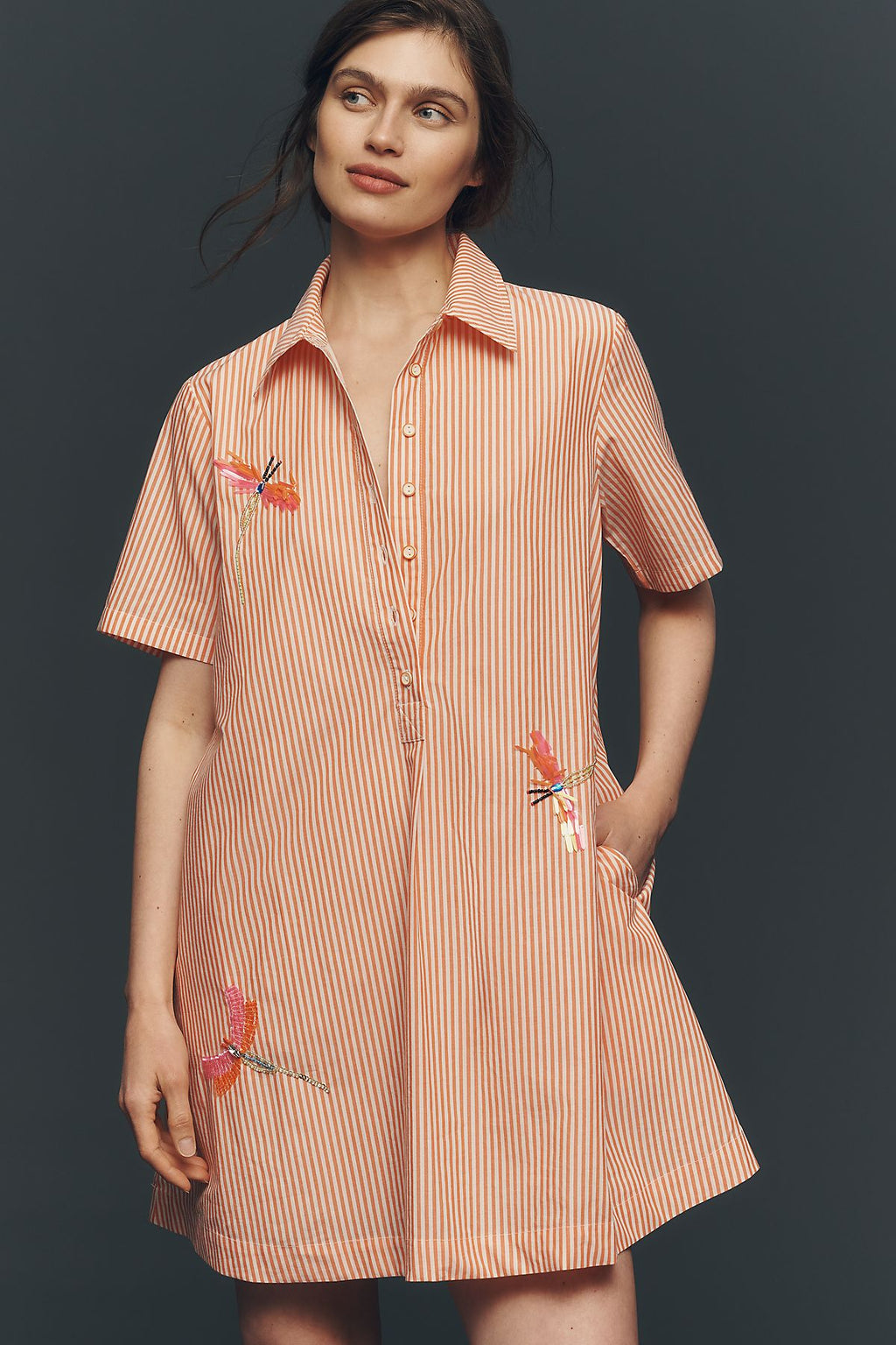 By Anthropologie Pollie Embroidered Swing Mini Dress