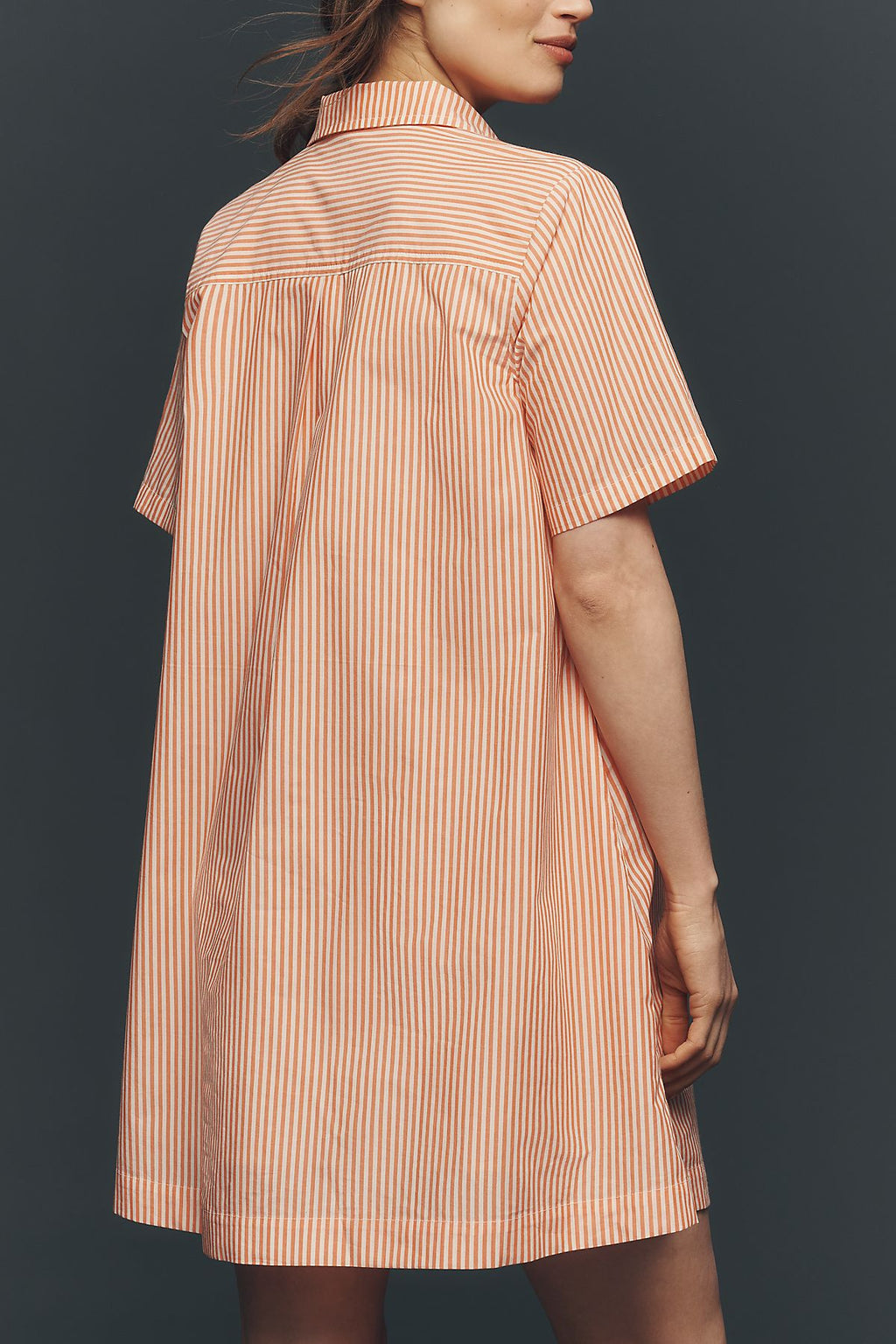 By Anthropologie Pollie Embroidered Swing Mini Dress