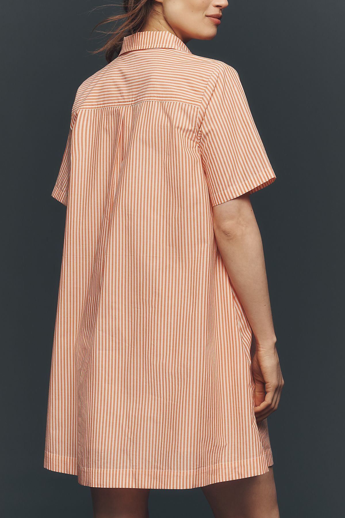 By Anthropologie Pollie Embroidered Swing Mini Dress