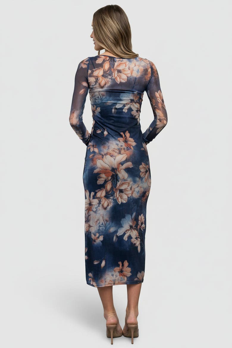 Darya Mesh Midi Dress