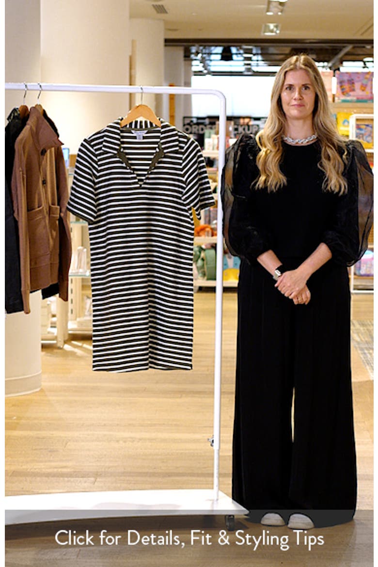 Waterfront View Stripe Polo Dress