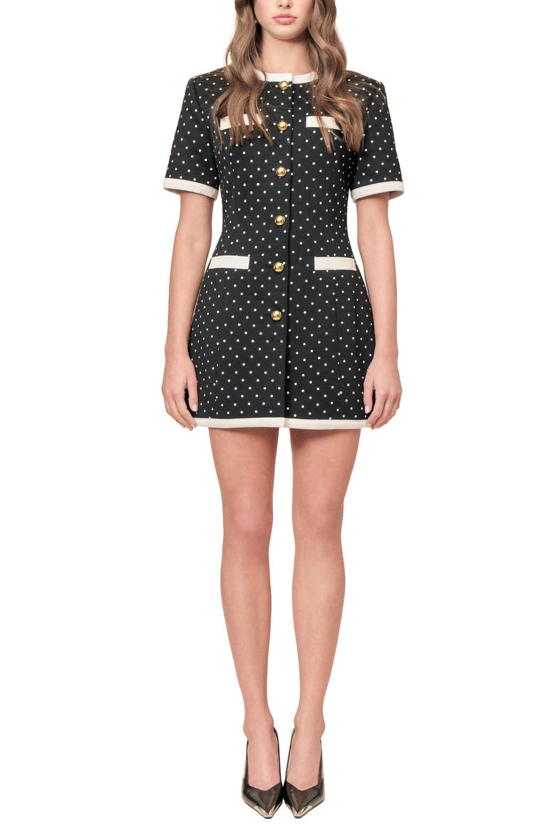 Taylor Polka Dot Minidress