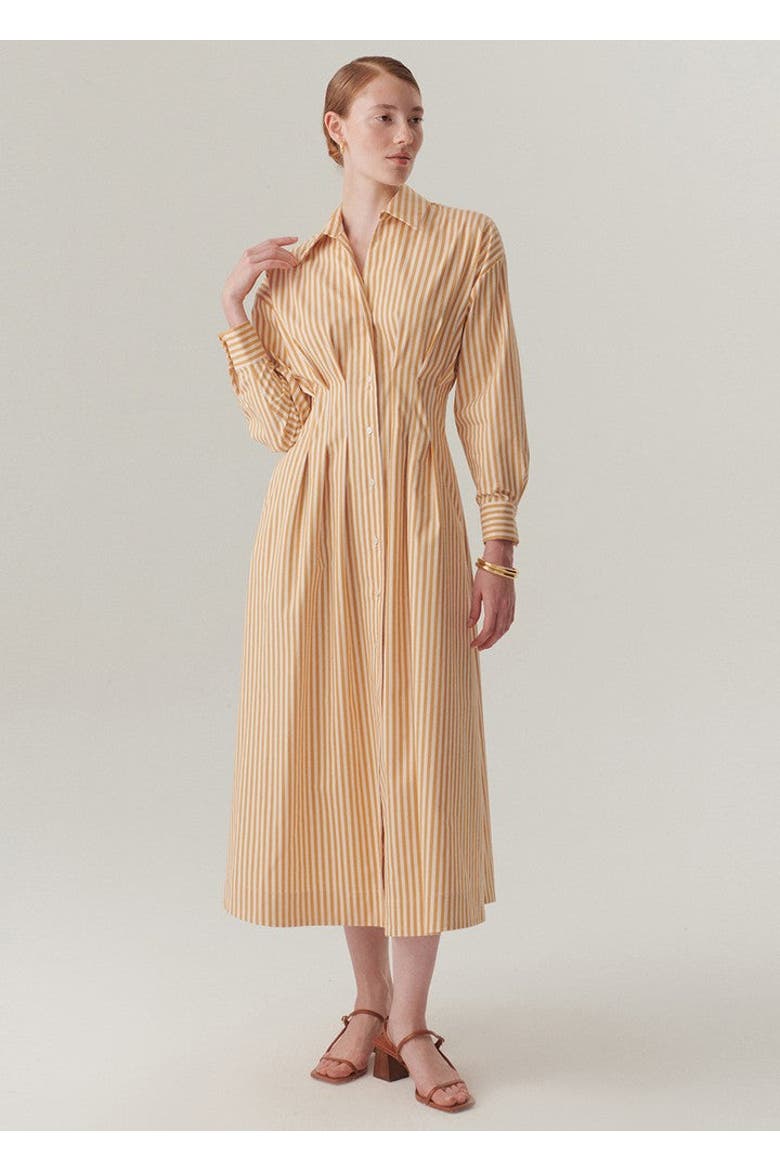 Sutton Collar Midi Dress