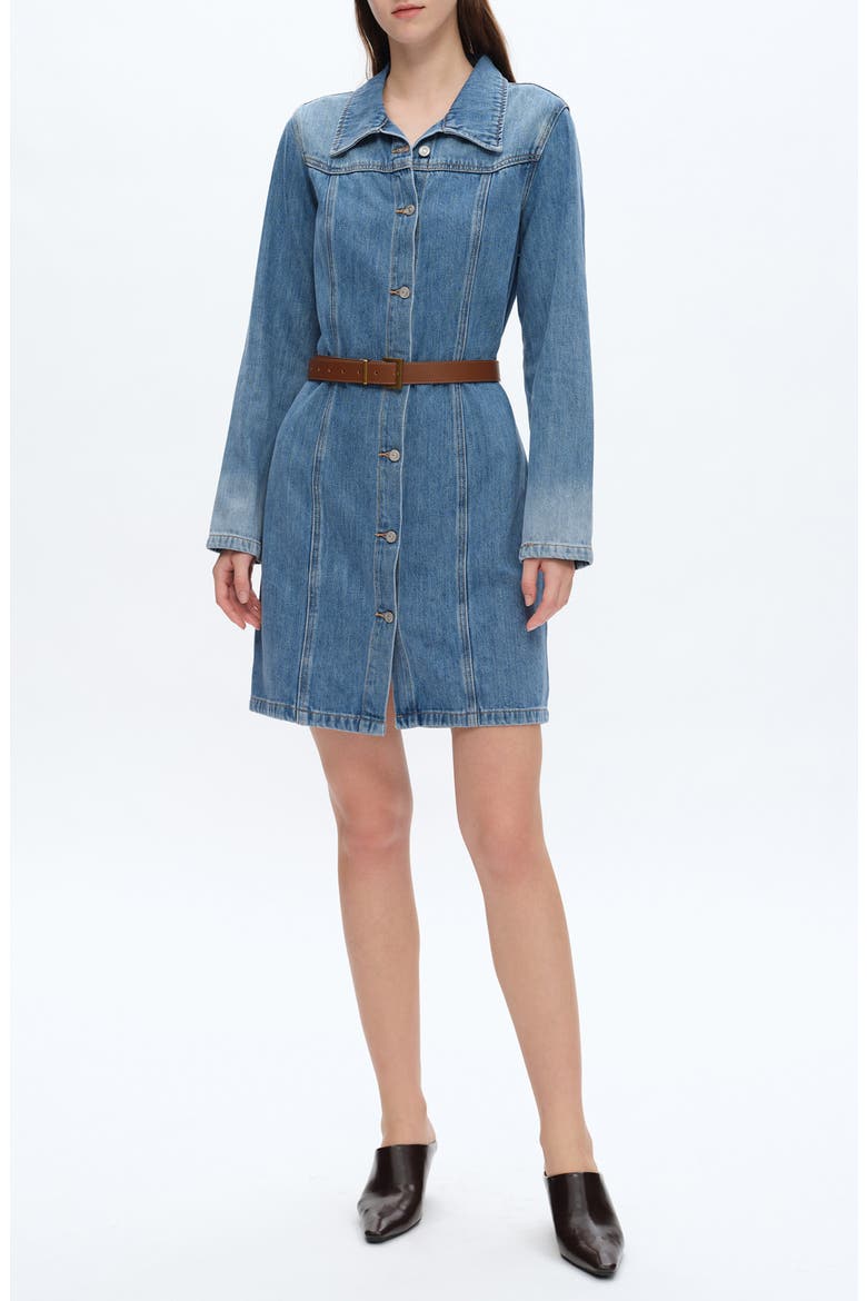 Long Sleeve Denim Shirtdress