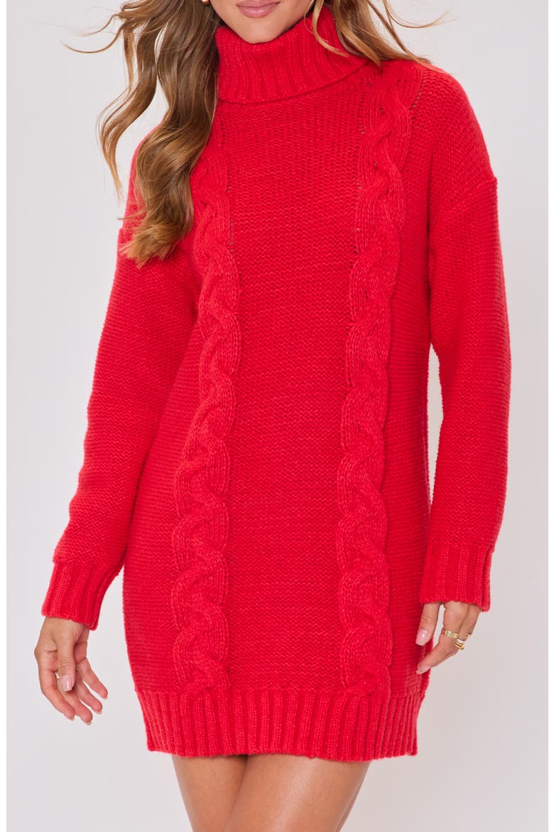Olivia Turtleneck Long Sleeve Mini Sweater Dress