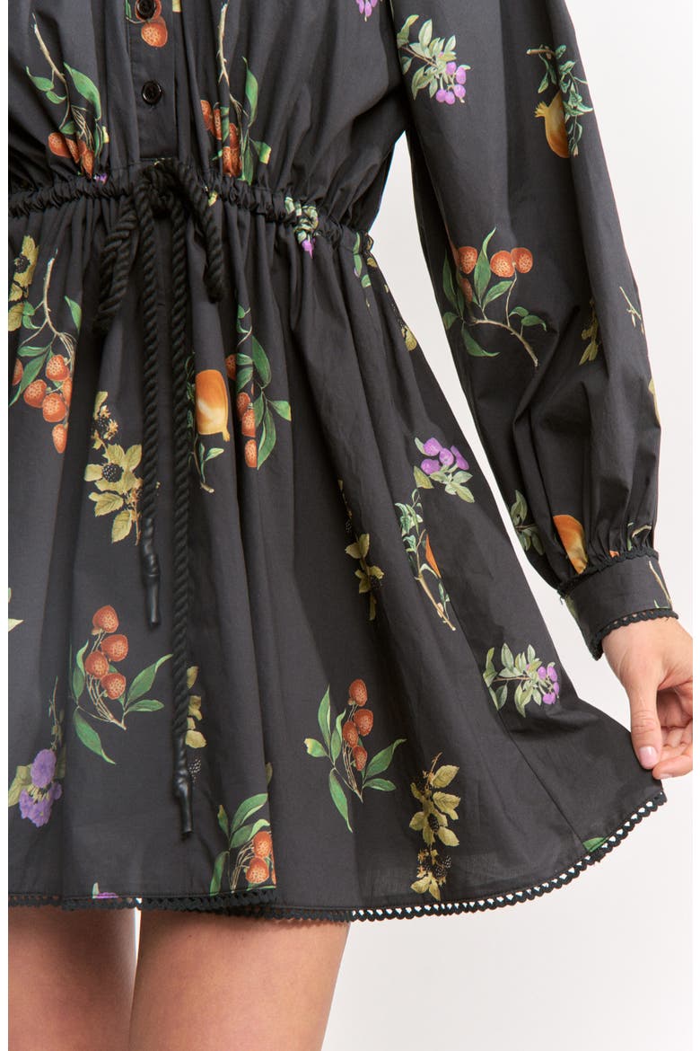 Kristie Long Sleeve Cotton Shirtdress