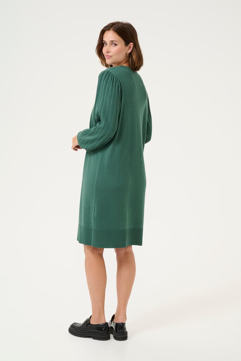 Kalone Knit Round Neck Knee Length Dress