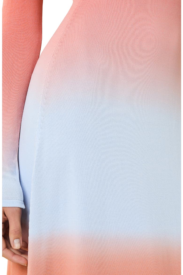 The Dora Ombré Colorblock Long Sleeve Knit Maxi Dress