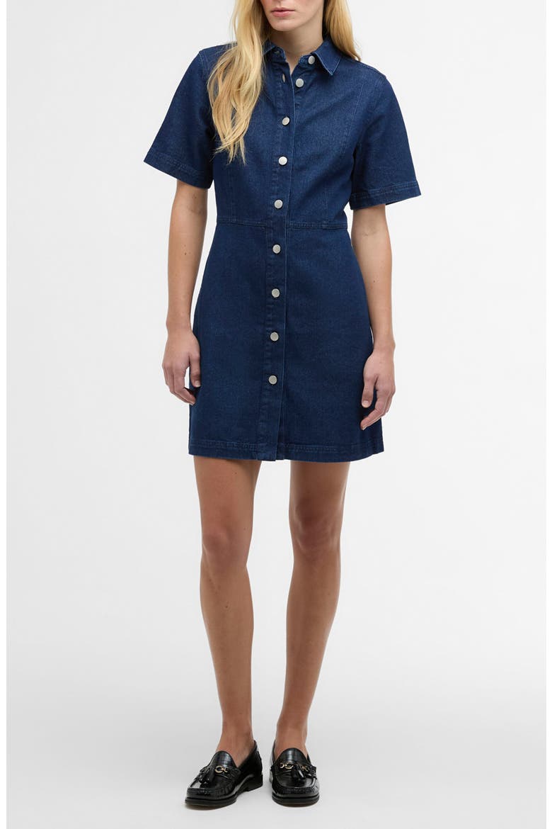 Maia Button-Up Denim Mini Shirtdress