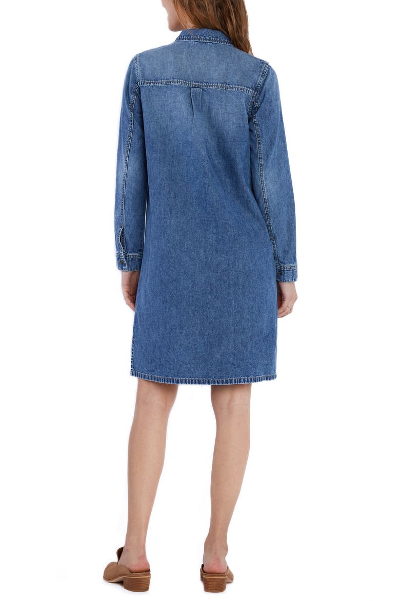 Long Sleeve Denim Shift Dress