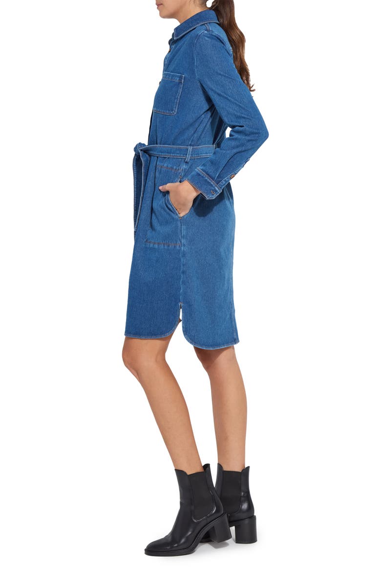 Schiffer Long Sleeve Stretch Cotton Chambray Shirtdress