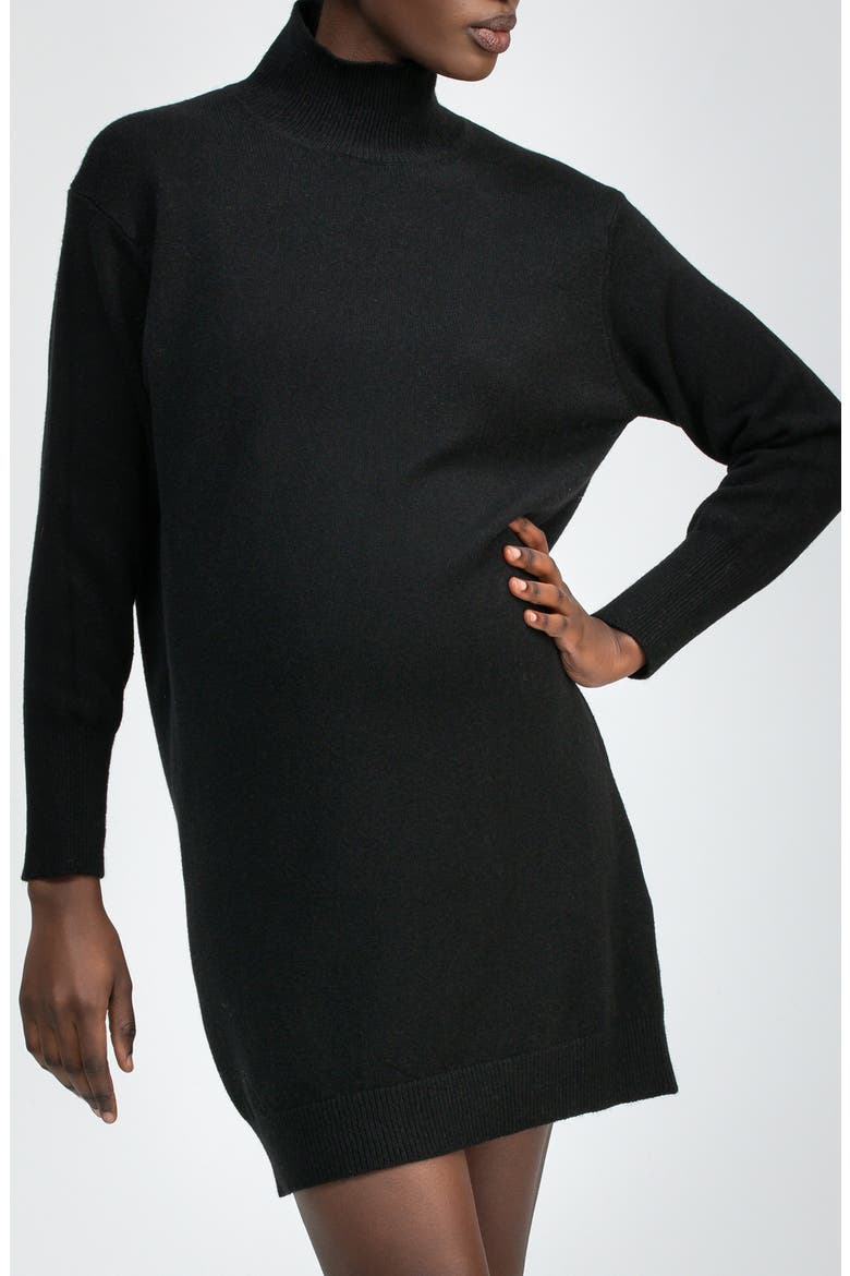 Felicia Turtleneck Long Sleeve Sweater Dress