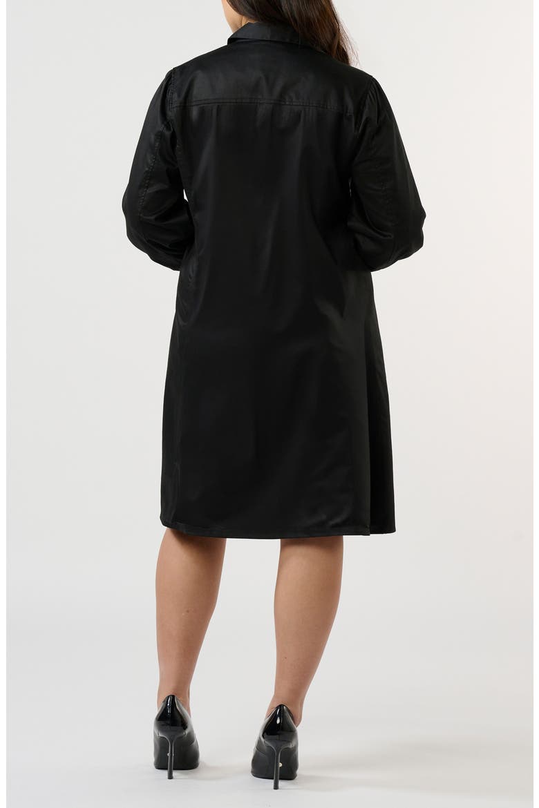 Asher Long Sleeve Cotton Shirtdress