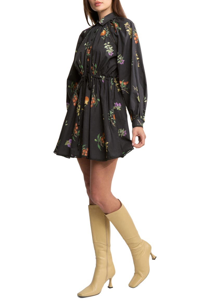 Kristie Long Sleeve Cotton Shirtdress