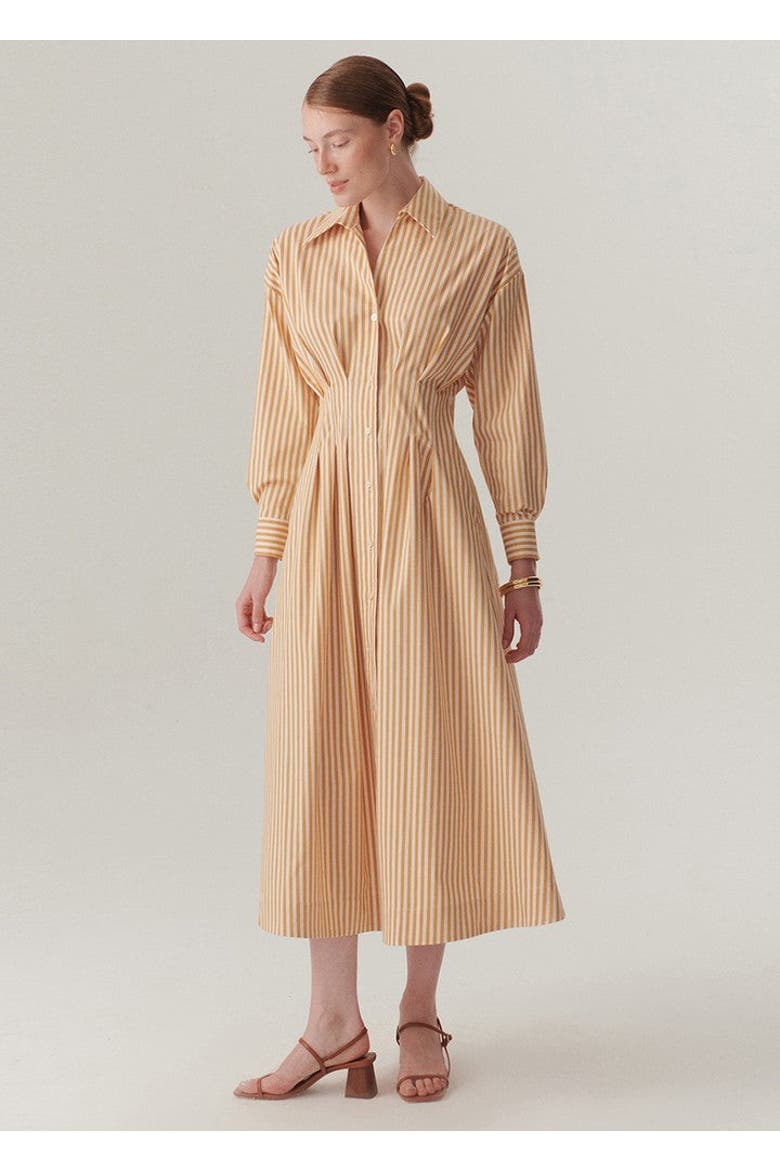 Sutton Collar Midi Dress