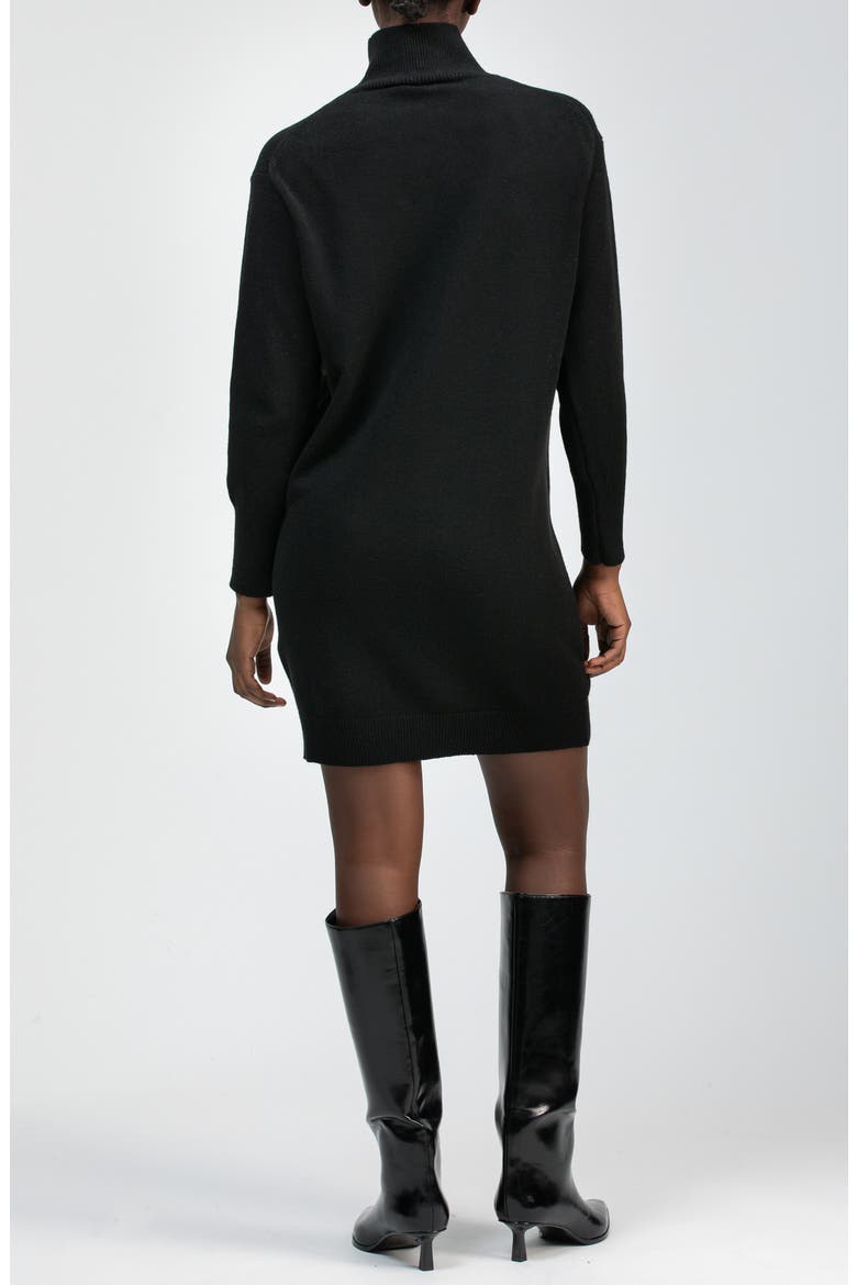 Felicia Turtleneck Long Sleeve Sweater Dress
