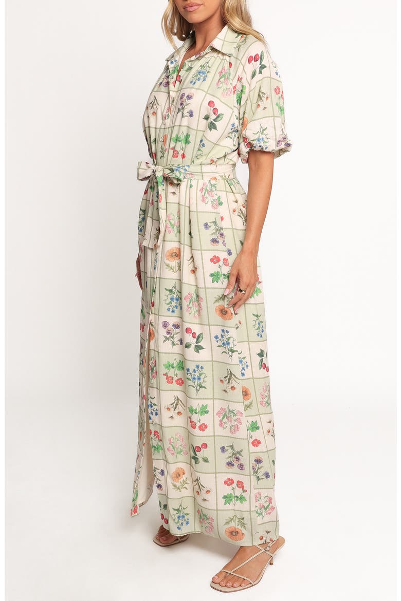 James Print Tie Waist Maxi Dress