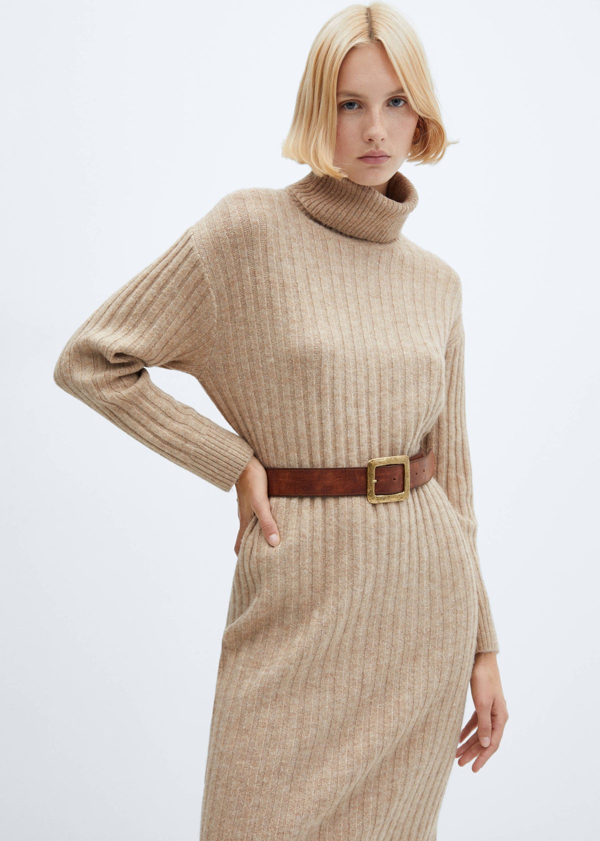 Ribbed turtleneck dress