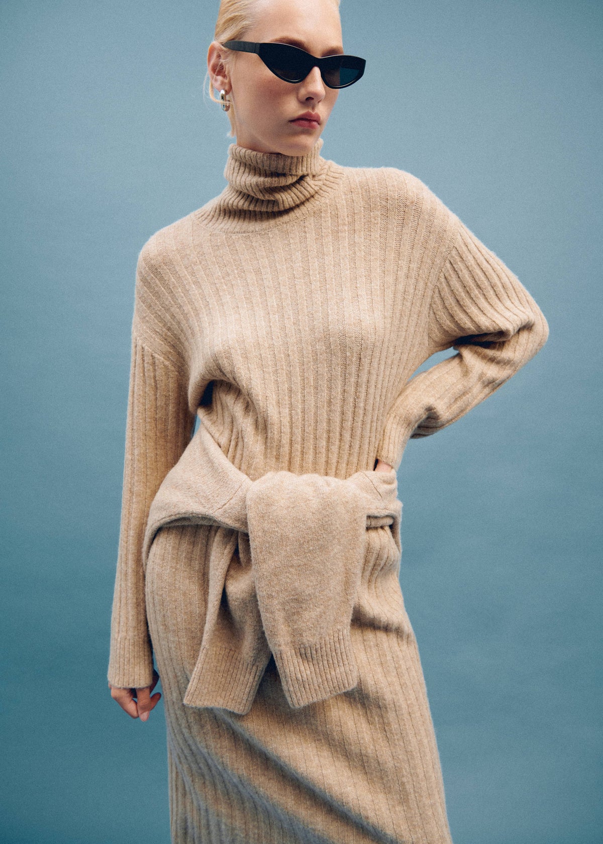 Ribbed turtleneck dress