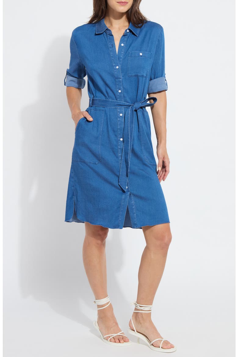 Delphine Chambray Shirtdress