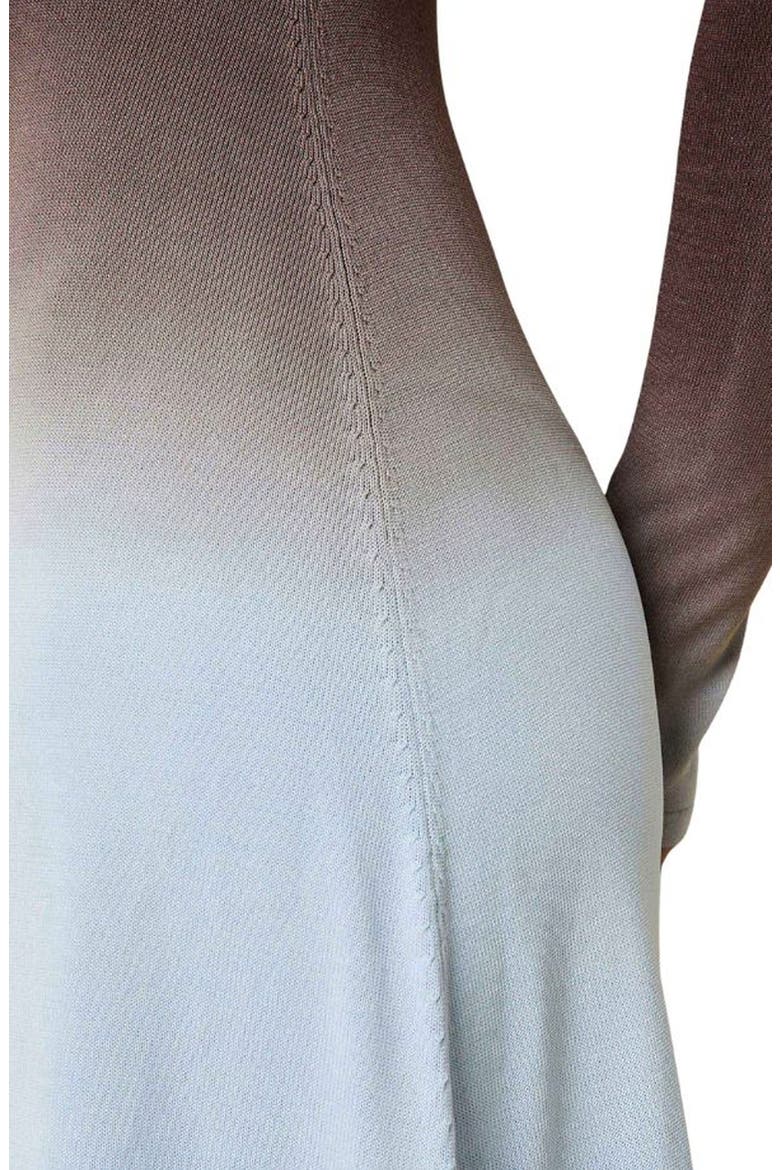 The Dora Ombré Colorblock Long Sleeve Knit Maxi Dress