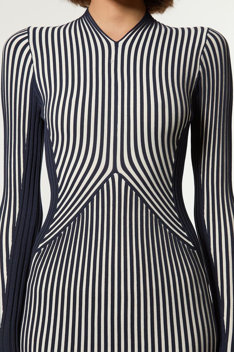 Petite Fitted Long Sleeve Midi Dress