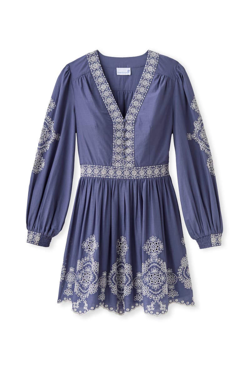 Blake Embroidered Mini Dress