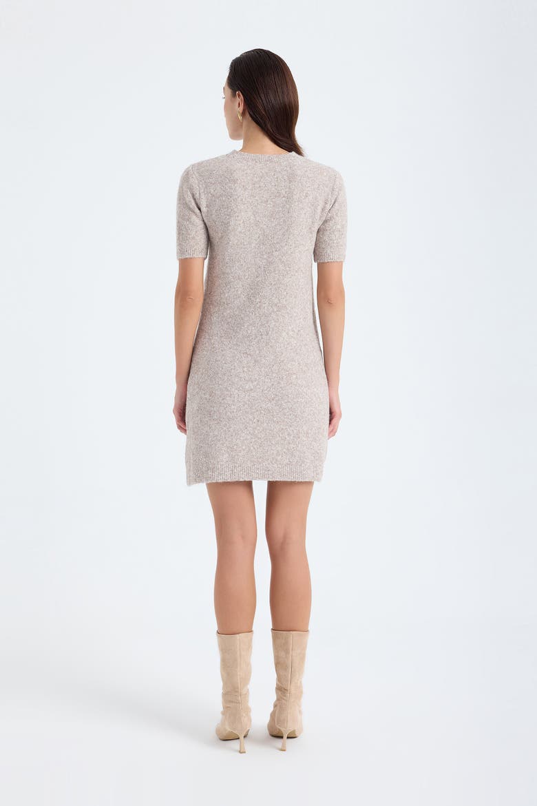 Rune Short Sleeve Crewneck Knit Sweater Dress