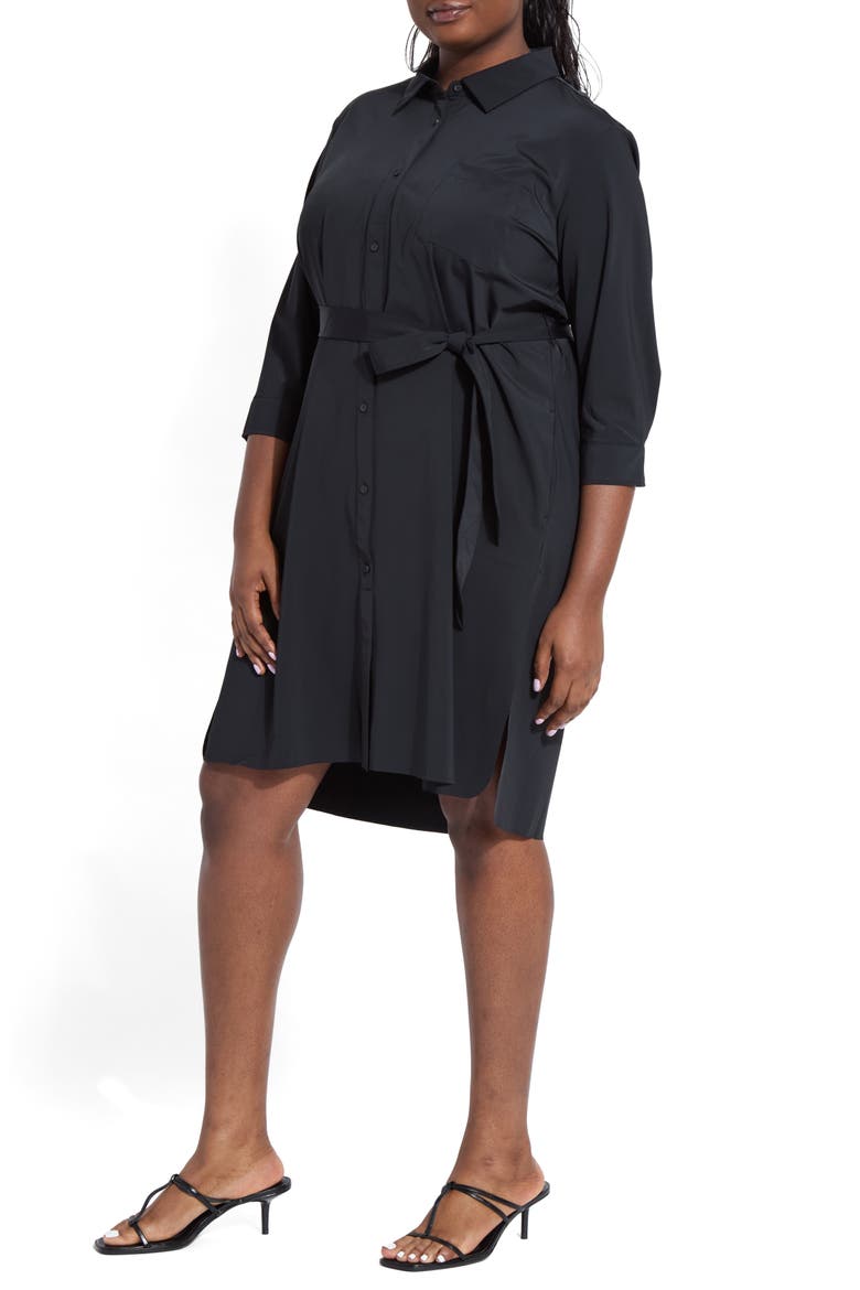 Schiffer Shirtdress
