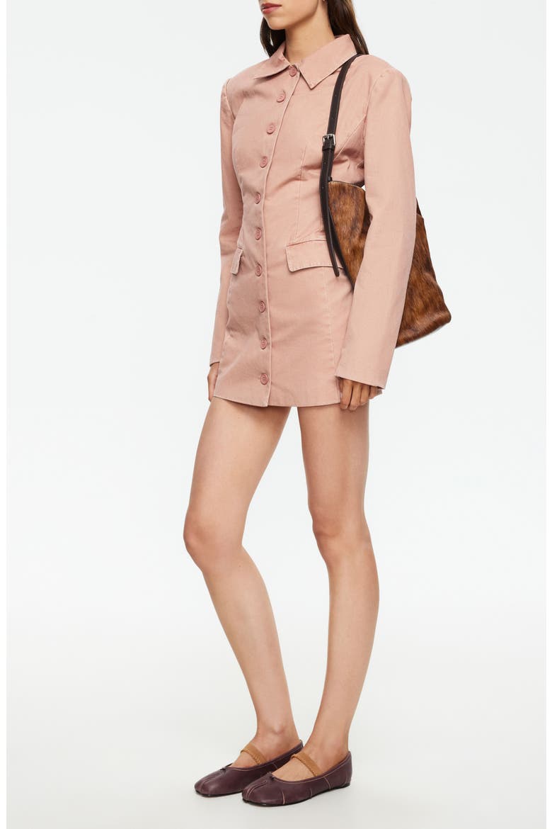Cheri Long Sleeve Minidress