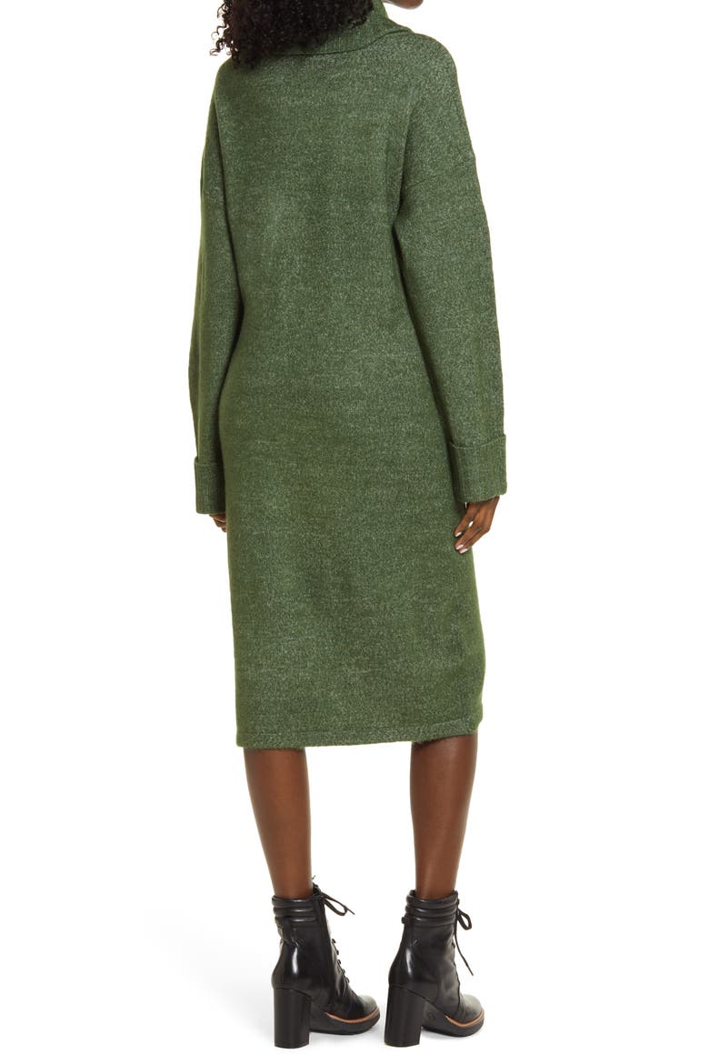 Gaiva Turtleneck Long Sleeve Sweater Dress