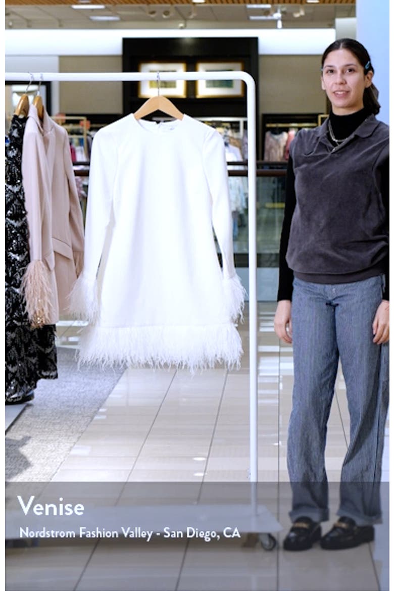 Marullo Feather Trim Long Sleeve Dress