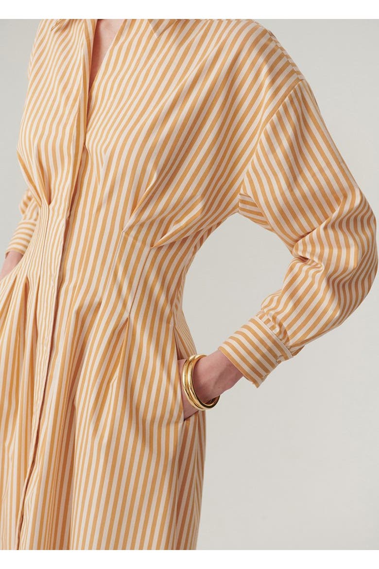 Sutton Collar Midi Dress
