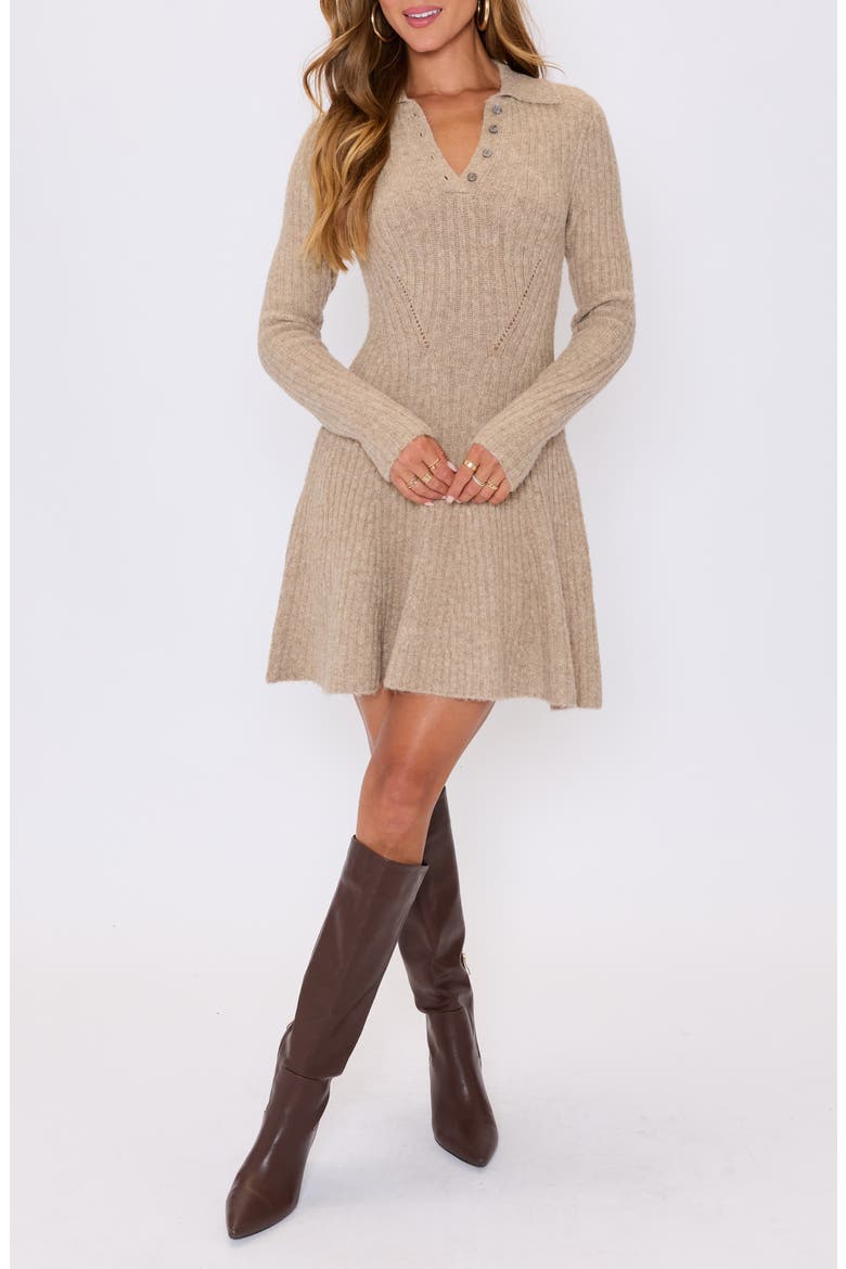 Ember Long Sleeve Fit & Flare Sweater Minidress