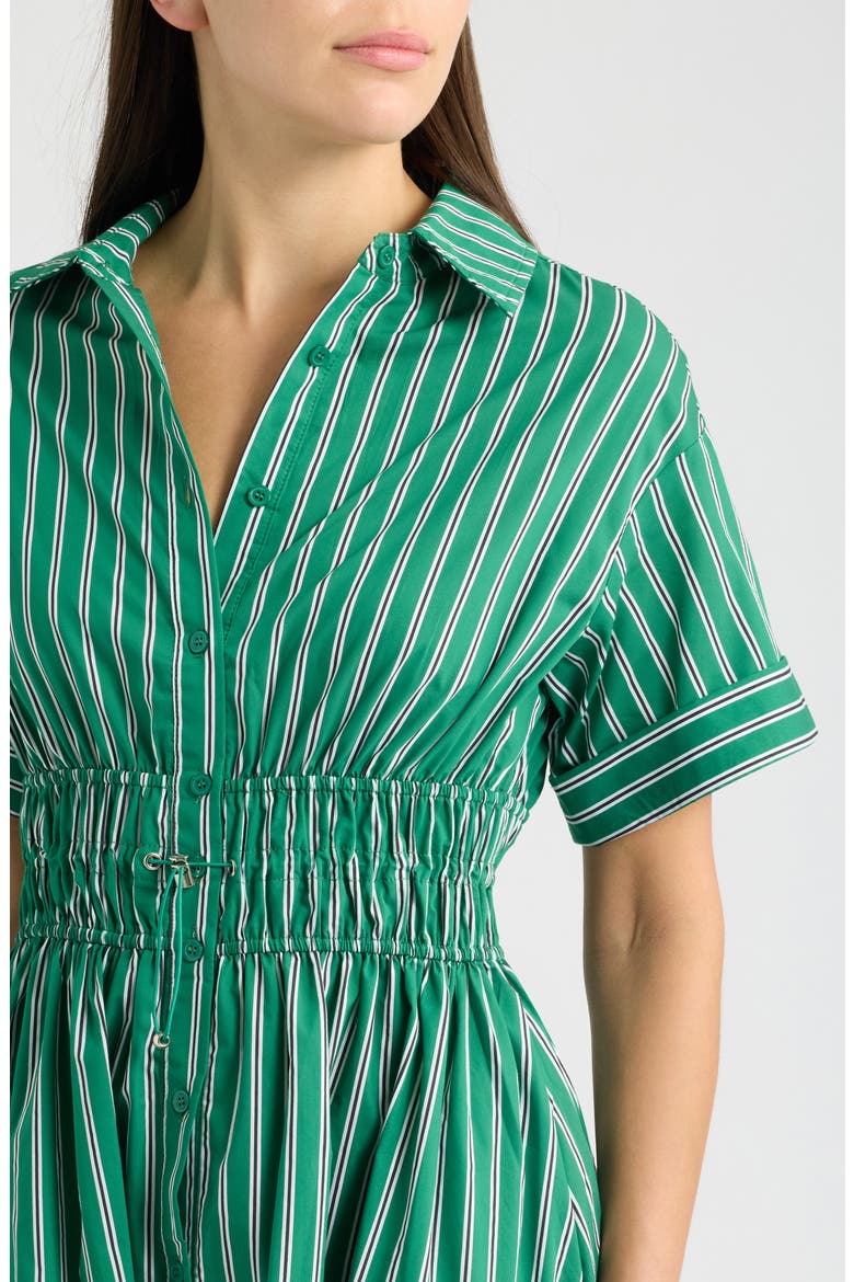 Stripe Drawcord Waist Shirtdress