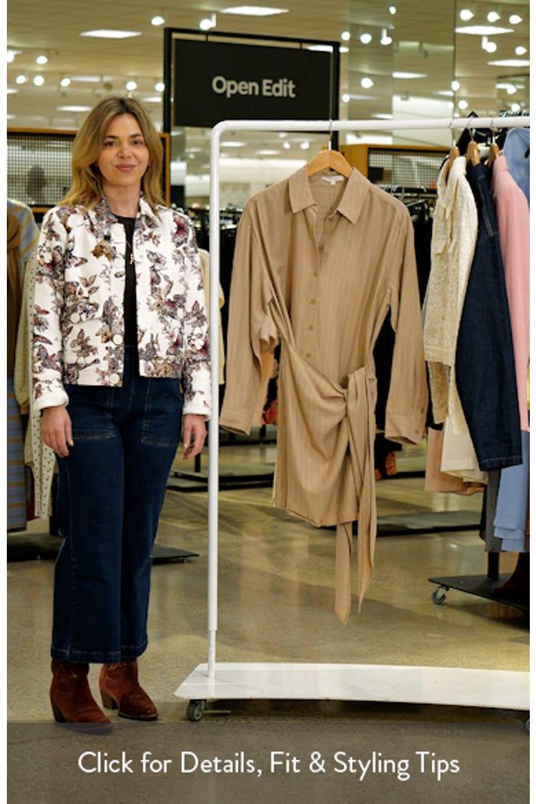 The Sweet Talker Pinstripe Long Sleeve Shirtdress