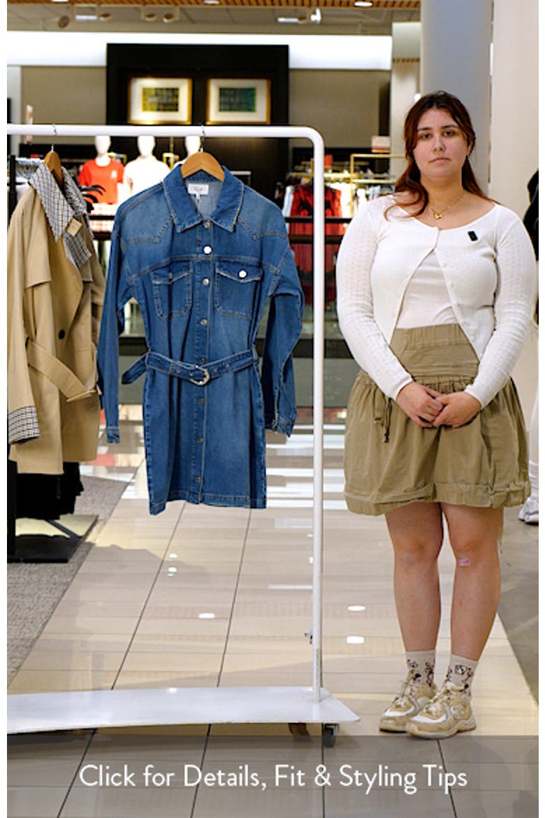 Tustin Denim Shirtdress