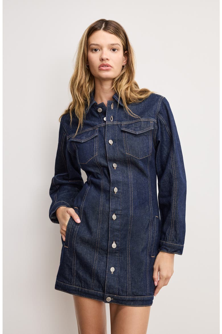 Long Sleeve Denim Minidress