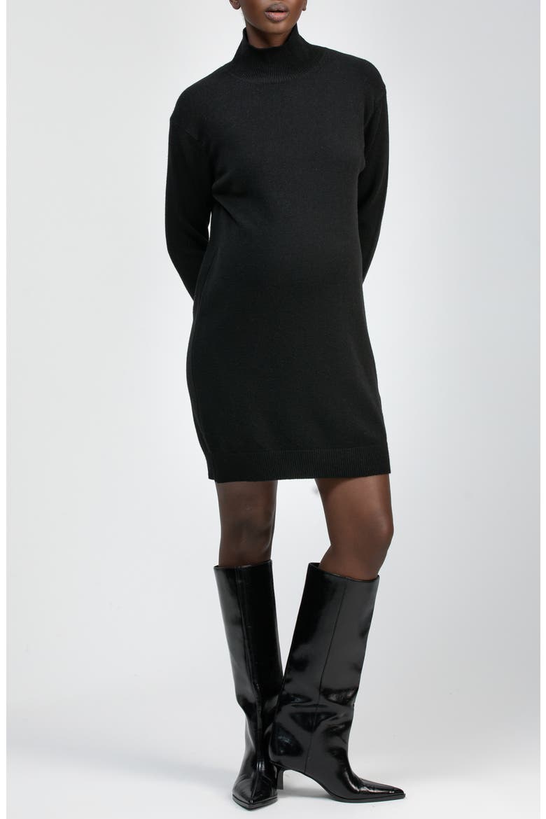 Felicia Turtleneck Long Sleeve Sweater Dress