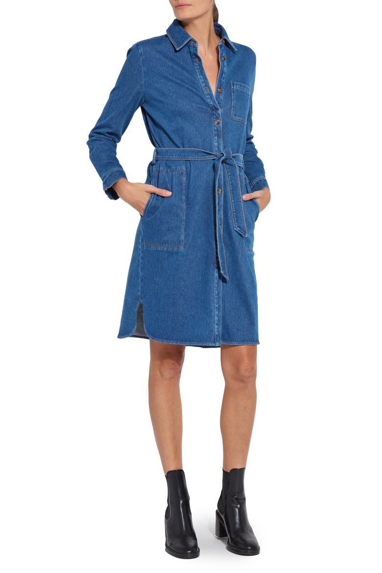 Schiffer Long Sleeve Stretch Cotton Chambray Shirtdress