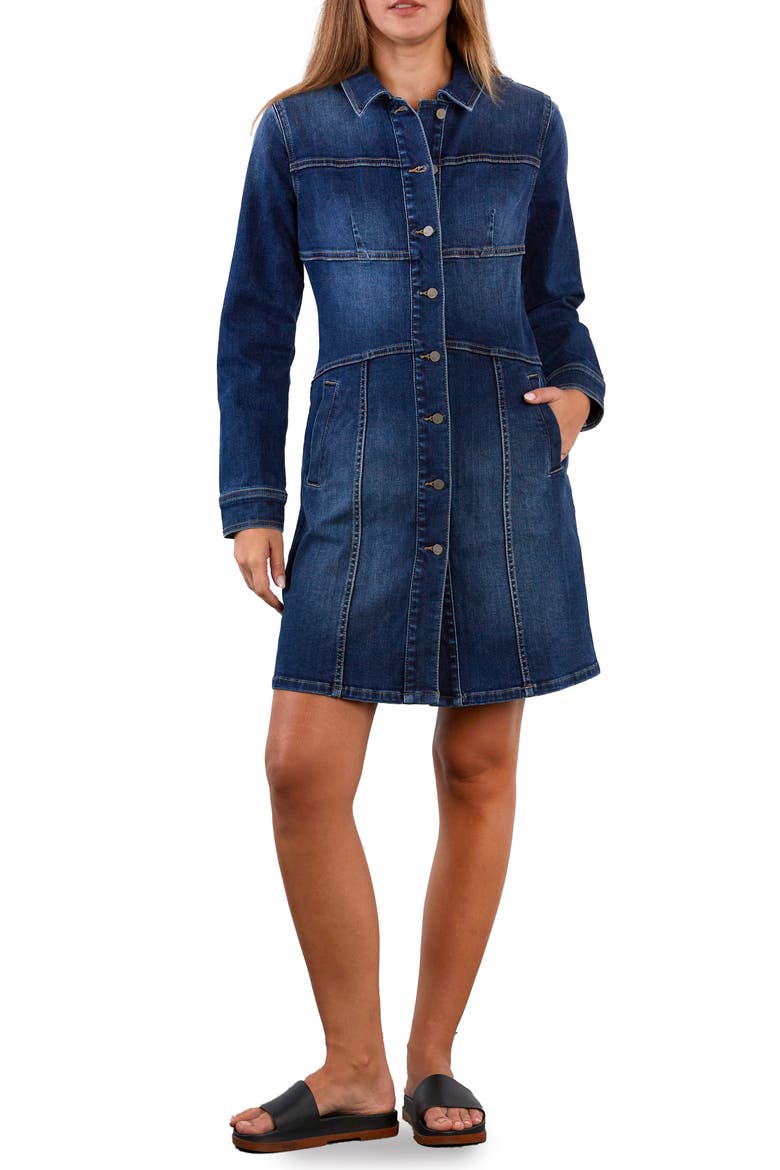 Wisp Long Sleeve Stretch Denim Dress