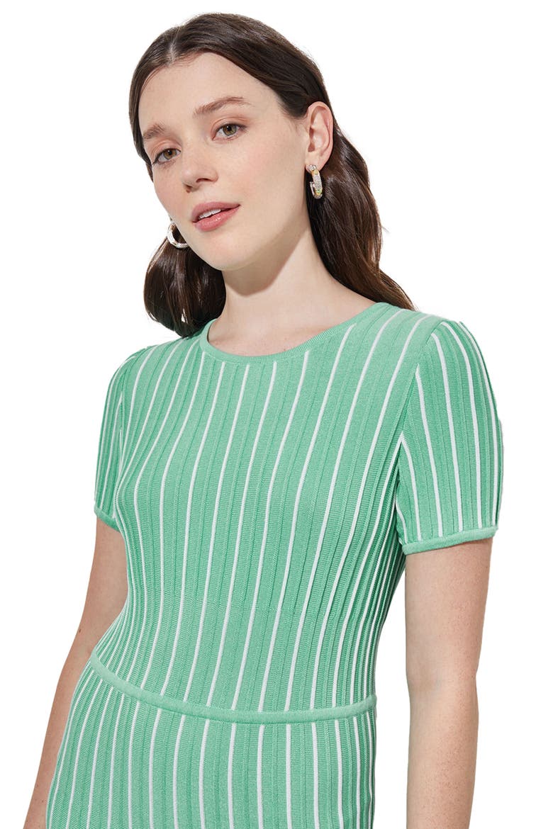 Modern Fit Stripe A-Line Knit Dress