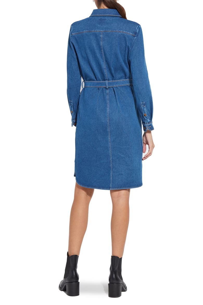 Schiffer Long Sleeve Stretch Cotton Chambray Shirtdress