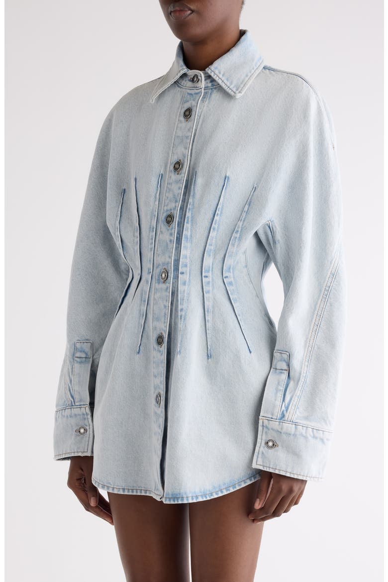 Long Sleeve Shaped Denim Minidress