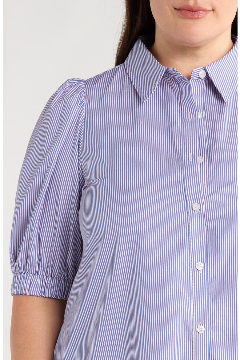 Fannie Stripe Shirtdress