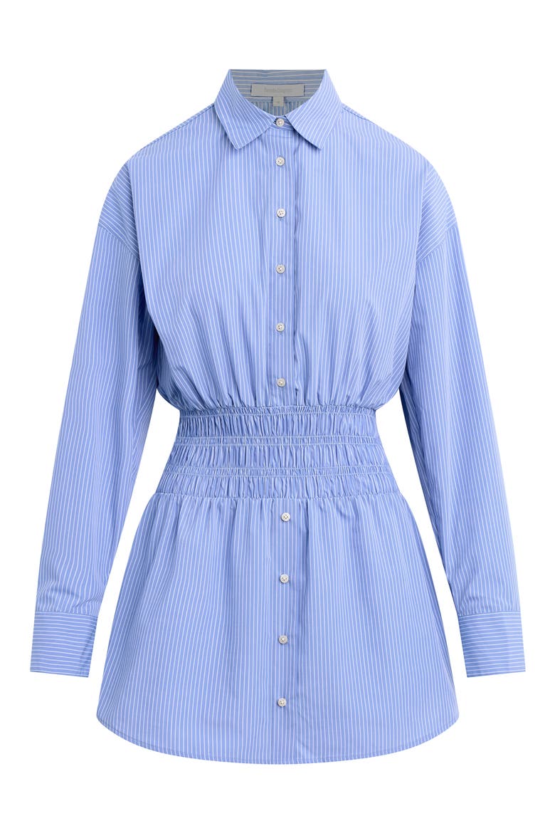 The Waist Not Mini Shirtdress