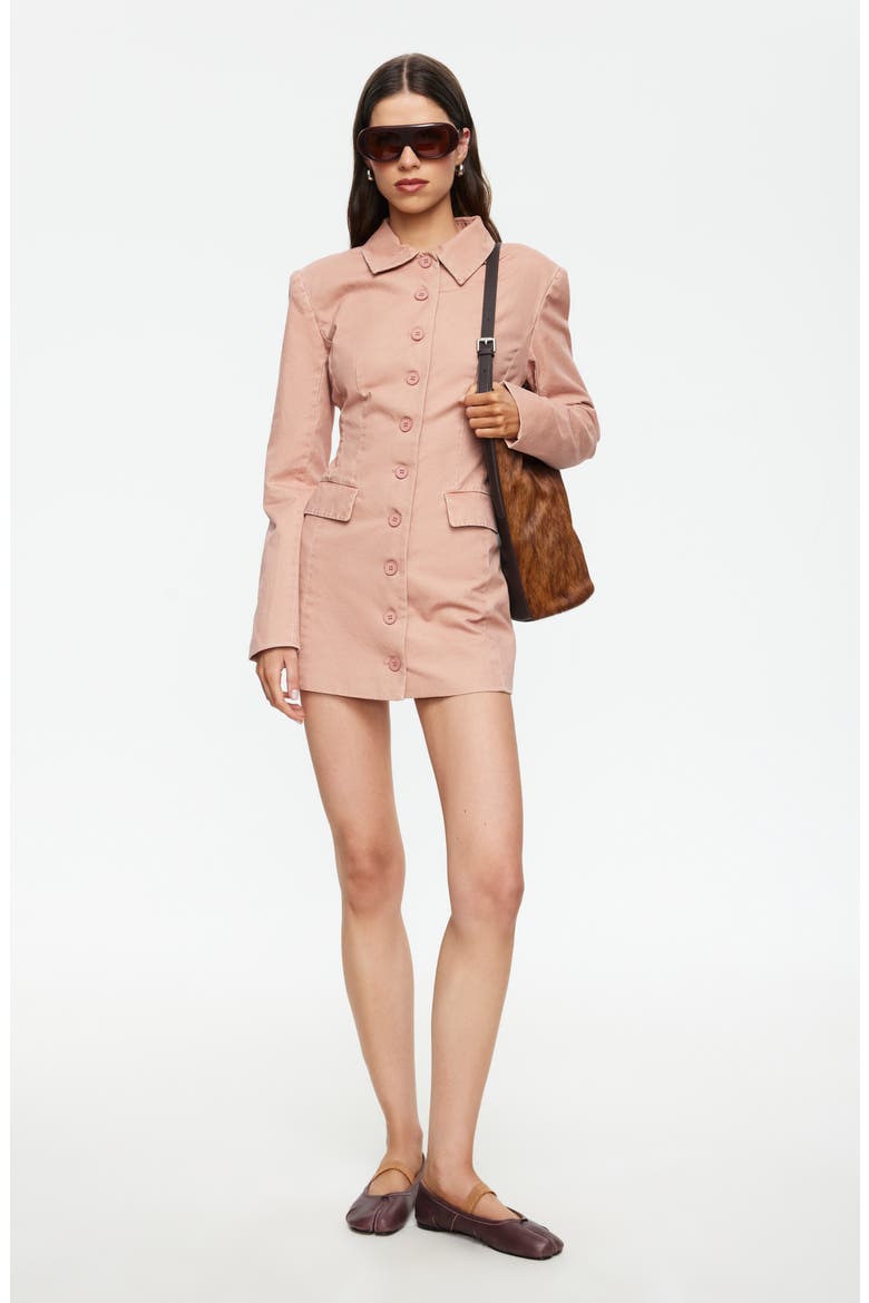 Cheri Long Sleeve Minidress