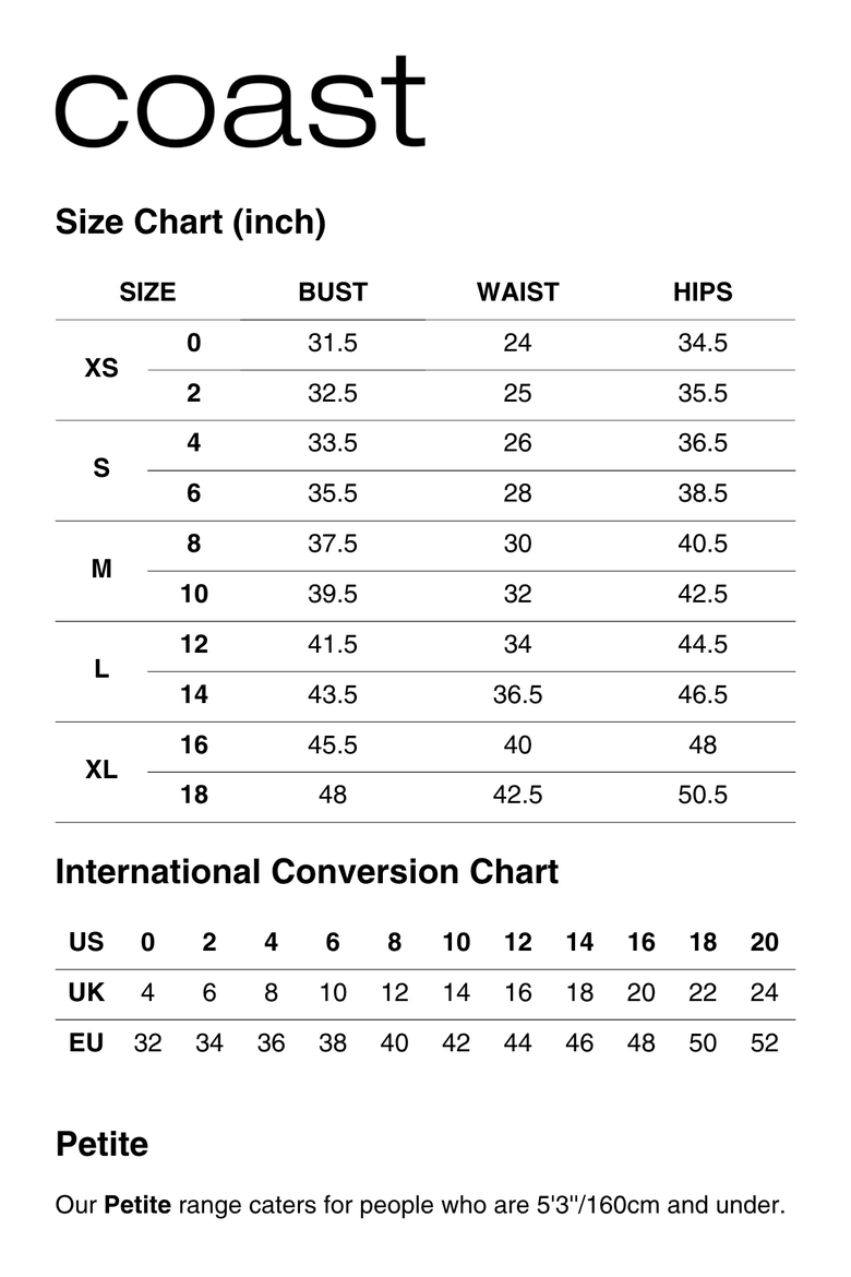 Muse Chiffon Embellished Mini Dress